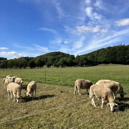 Luksus Skurvogn Med Udespa Og Udsigt Til Dyr, Skov Og